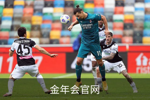 金年会官网公司简介图片